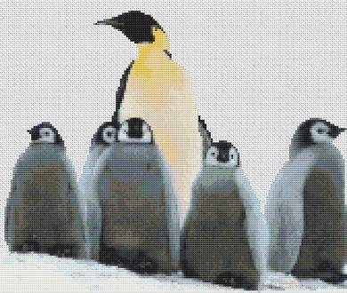 (image for) Penguin Family